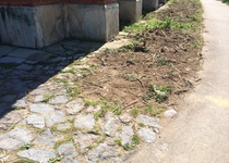 Tisková zpráva