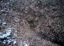 Studánka „Pod Hrádkem“ a Mufloní studánka