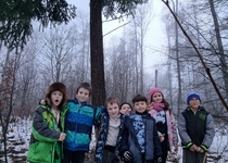 Vánoční stromeček pro zvířátka