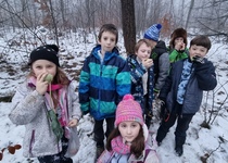 Vánoční stromeček pro zvířátka