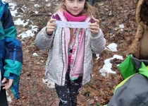 Vánoční stromeček pro zvířátka