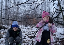 Vánoční stromeček pro zvířátka