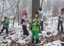 Vánoční stromeček pro zvířátka