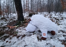 Vánoční stromeček pro zvířátka