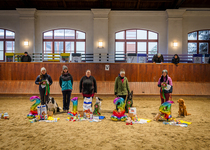 Členové kynologického klubu kralovali v Brně