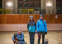 Členové kynologického klubu kralovali v Brně