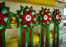 Členové kynologického klubu kralovali v Brně