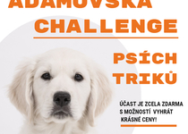 Adamovská challenge psích triků