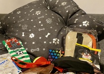 Adamovská challenge psích triků