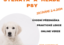 Jarní kurzy pro štěňata a mladé psy