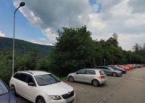 Zákaz vstupu do lesního porostu