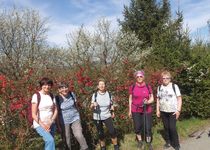 Ohlédnutí za vycházkou do Černé Hory