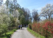 Ohlédnutí za vycházkou do Černé Hory