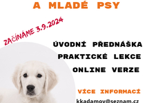 Podzimní kurz pro štěňata a mladé psy