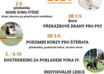 Podzimní akce v kynologickém klubu