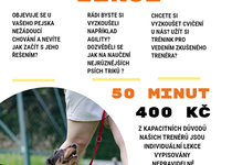 Podzimní akce v kynologickém klubu