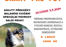 Podzimní akce v kynologickém klubu