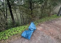 Poděkování za účast na úklidové brigádě