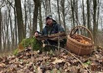 HOUBY JEDLÉ, NEJEDLÉ A JEDOVATÉ - PŘEDNÁŠKA DANIELY JIROUŠKOVÉ