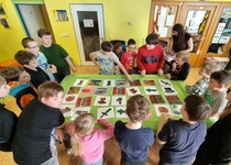 Minecraft Day