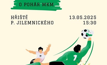 Turnaj v kopané