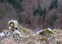 Ohlédnutí za vycházkou „První jarní výšlap JMO KČT-Macocha“