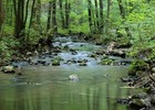 Vycházka Hostěnice - Přírodní park Říčky