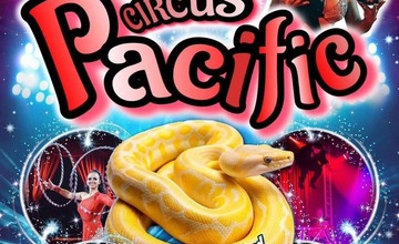 Cirkus PACIFIC na hřišti Ronovská od 6.5.2025 do 7.5.2025