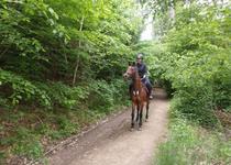 Ohlédnutí za vycházkou „Hostěnice - Přírodní park Říčky“