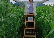 Prázdninové toulání: Pálava