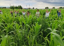 Prázdninové toulání: Pálava