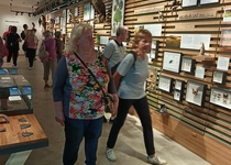 Prázdninové toulání: Pálava