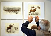 VÝSTAVA V ZÁŘÍ 2025: ILUSTRACE PAVLA A PAVLY DVORSKÝCH