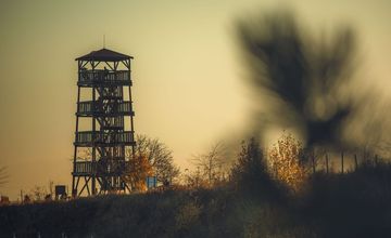 Vycházka Kobylí - Kraví hora - Bořetice