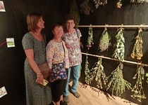 Zájezd do Lednice a Čejkovic