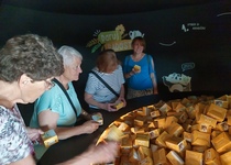 Zájezd do Lednice a Čejkovic