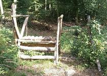 Ohlédnutí za vycházkou „Tavíkovice - Přírodní park Rokytná“