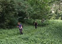 Ohlédnutí za vycházkou „Tavíkovice - Přírodní park Rokytná“