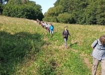 Ohlédnutí za vycházkou „Tavíkovice - Přírodní park Rokytná“
