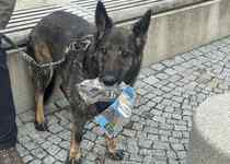 Ohlédnutí za podzimní úklidovou brigádou 2025