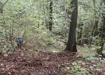 Ohlédnutí za podzimní úklidovou brigádou 2025