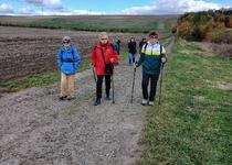 Ohlédnutí za vycházkou „NS Šibeniční a popravčí vrch v Křenovicích“