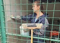 Podzimní brigády v kynologickém klubu Adamov