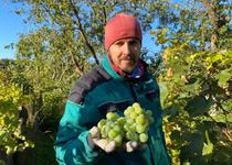 PŘEDNÁŠKA: ZDENĚK ŠPÍŠEK / ZPRACOVÁNÍ OVOCE A VÝROBA LIKÉRŮ