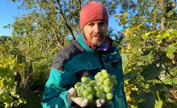 PŘEDNÁŠKA: ZDENĚK ŠPÍŠEK / ZPRACOVÁNÍ OVOCE A VÝROBA LIKÉRŮ