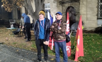 Svatomartinská husa