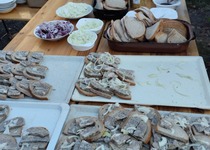 Svatomartinská husa