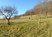 Ohlédnutí za vycházkou  „ Duchova rozhledna“