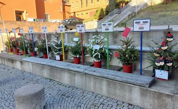 Ohlédnutí za slavnostním rozsvícením vánočního stromu