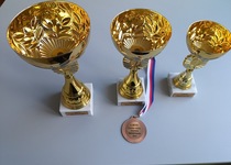 O pohár města Adamova - Indoor koule 2025